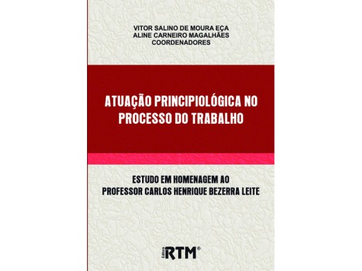 ATUAÇÃO PRINCIPIOLÓGICA NO PROCESSO DO TRABALHO